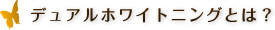 デュアルホワイトニングとは？